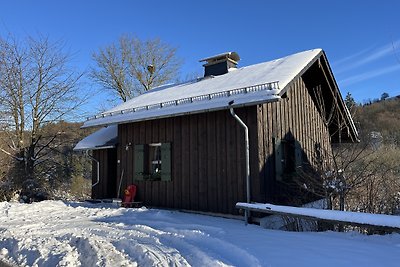 Vakantiehuis Ontspannende vakantie Willingen