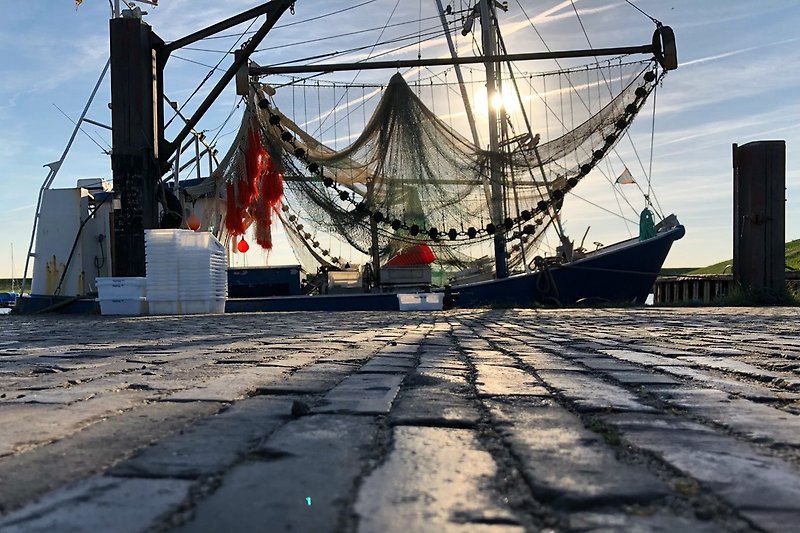Barco de pesca de cangrejos en el puerto de Dangast