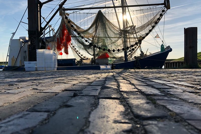 Krabbenkutter am Hafen in Dangast