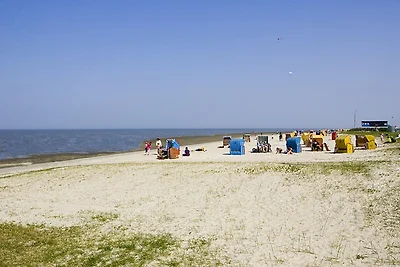 Haus Stör - Wohnung D - Dangast