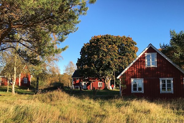 Ferienhaus Vrå