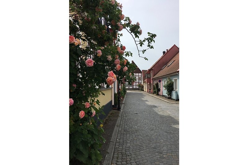street in Ystad, town of Henning Mankell