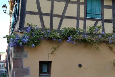 Casa con giardino nei Vosgi