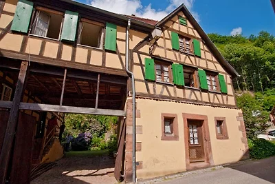 Casa con giardino nei Vosgi