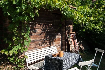 Casa con giardino nei Vosgi