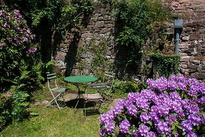 Huis met tuin in de Vogezen