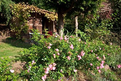 Maison avec jardin dans les Vosges