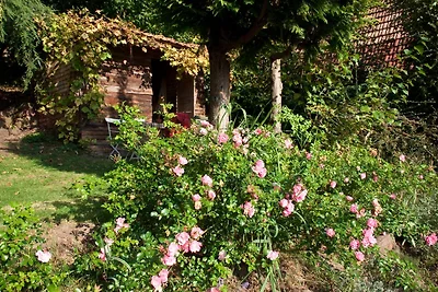 Casa con giardino nei Vosgi