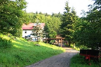 Ferienparadies am Rennweg