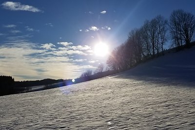 Ferienwohnungen  TRIPPOLTHOF