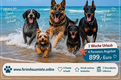 Grömitz Urlaub mit Hund Strandkorb