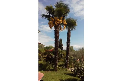 Apartament Villa Pescatore