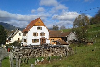 La Marguerite et le Panoramic