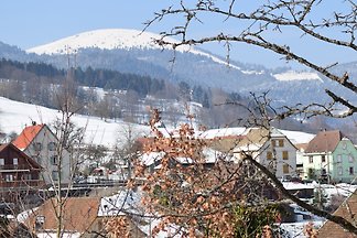 3* Ferienhaus Frech im Münstertahl