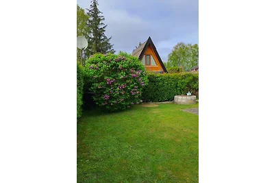 Ferienhaus/Finnhütte Trassenheide