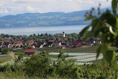 Nichtraucher-Fewo 2 Pers Kressbronn
