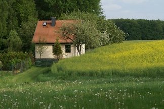 Ferienhaus -Krützseehof