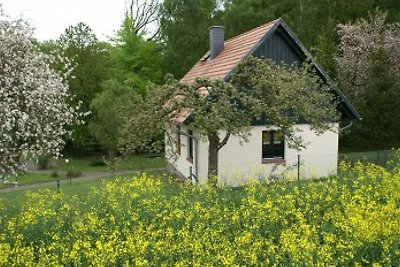 Ferienhaus -Krützseehof