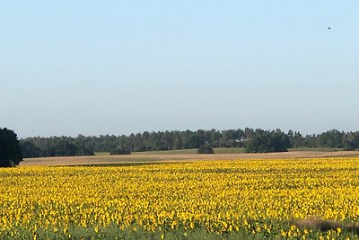 Ferienhaus - Weitblick