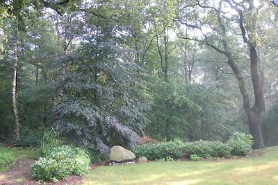 Ferienhaus Wald-Idyll