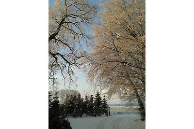 Ferienhaus Wald-Idyll