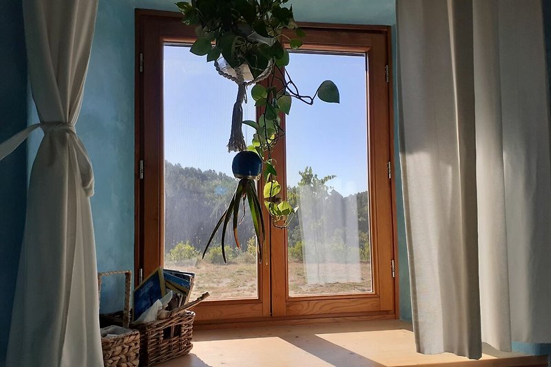 Fenster mit Vorhang, Holzdecke und Pflanze im Raum.
