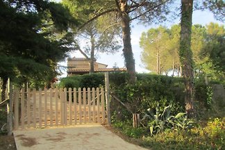 Poggio