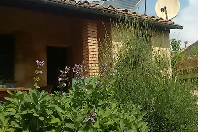 Casa Mia