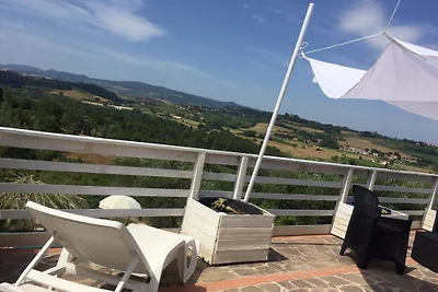 Sole