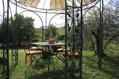 Sassicaia