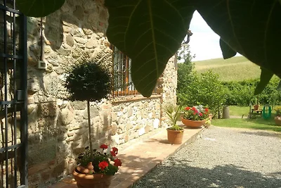 Sassicaia