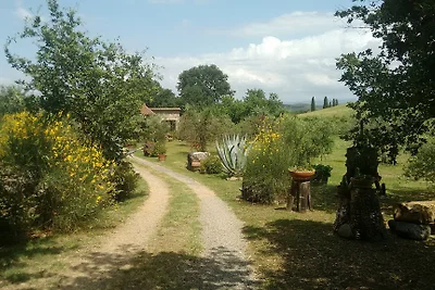 Sassicaia