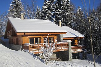 Ski Chalet Les Jumelles