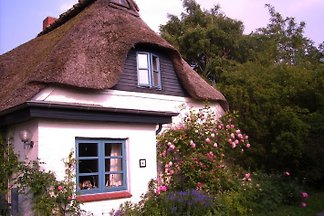 Ferienwohnung unterm Reetdach