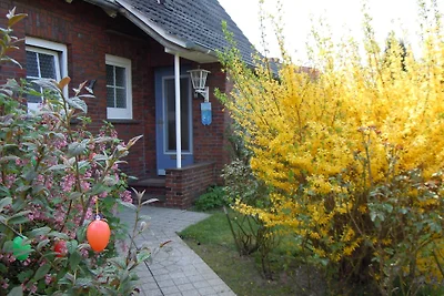 Haus Hansekogge, Juist