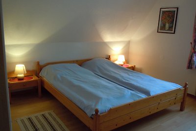 Haus Hansekogge, Juist