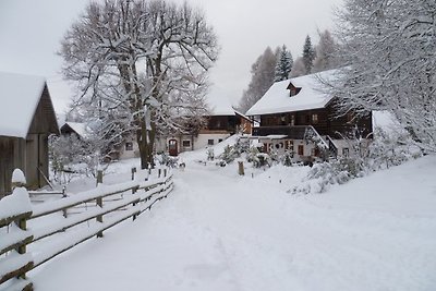 Bergbauernhof Hochleitner
