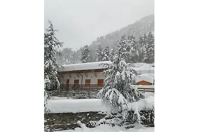 Holiday chalet for 10 persons