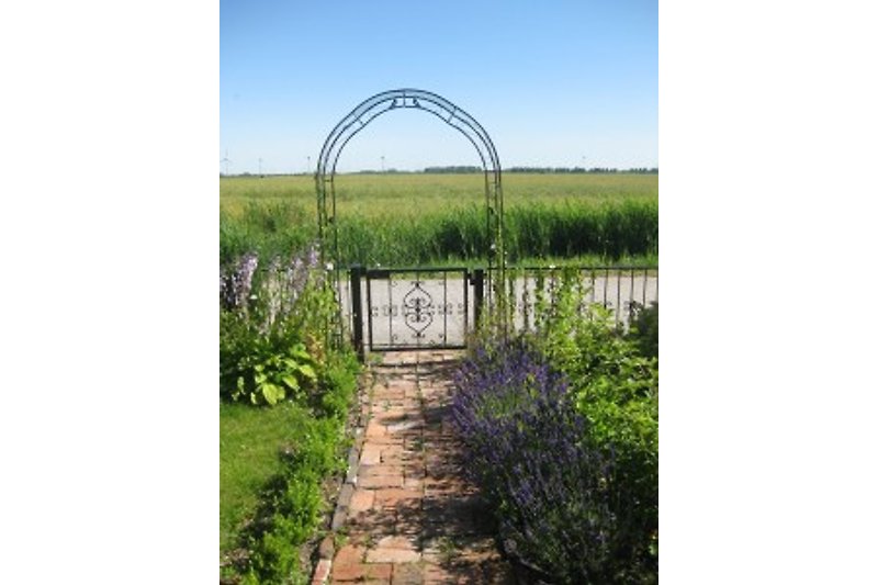 The view through the rose arch into the East Frisian landscape...