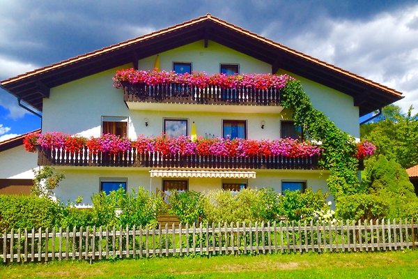 Ferienwohnung Bodenmais