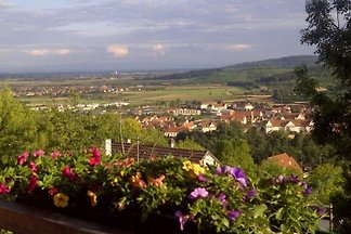 Villa Justine *** Ferienwohnung