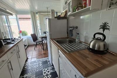 Ferienhaus Rekerlanden Urlaub Hund