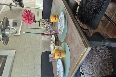 Ferienhaus Rekerlanden Urlaub Hund