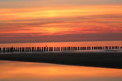 freier Dünenblick Strand+Meer 200m