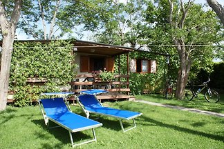 Cottage in Podere Campi al Mare