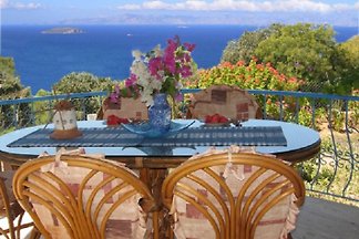 VILLA DELPHIN-BODRUM GÜMÜSLÜK