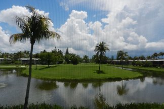 Palm on the Island