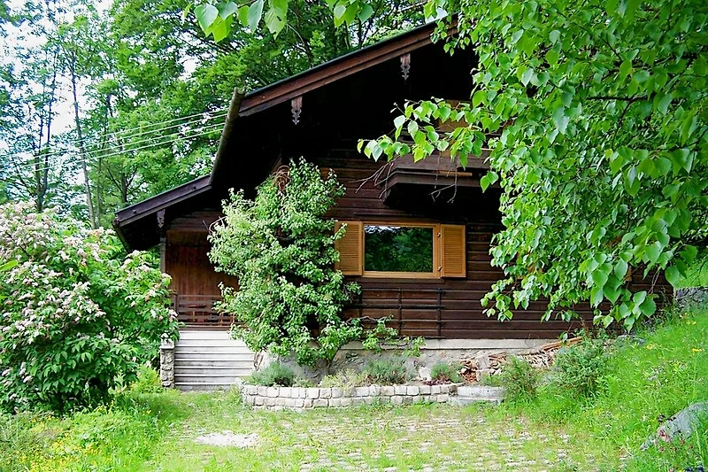 Ferienhaus mit großem Garten, ideal für Hunde