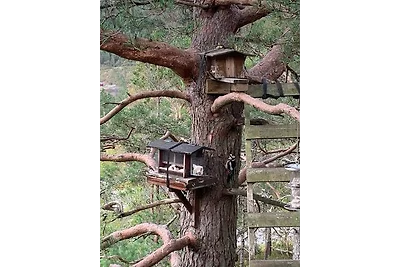 Hytte Belsvika 2-4 Pers.