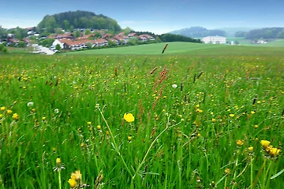 FW - Gerda - direkter Hundeauslauf